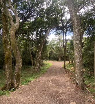 Trilha Ecológica